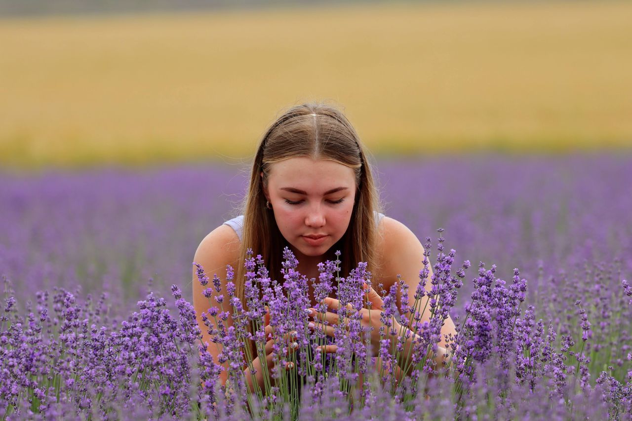 The Healing Benefits of Lavender: Beyond the Relaxing Aroma 😌🪻