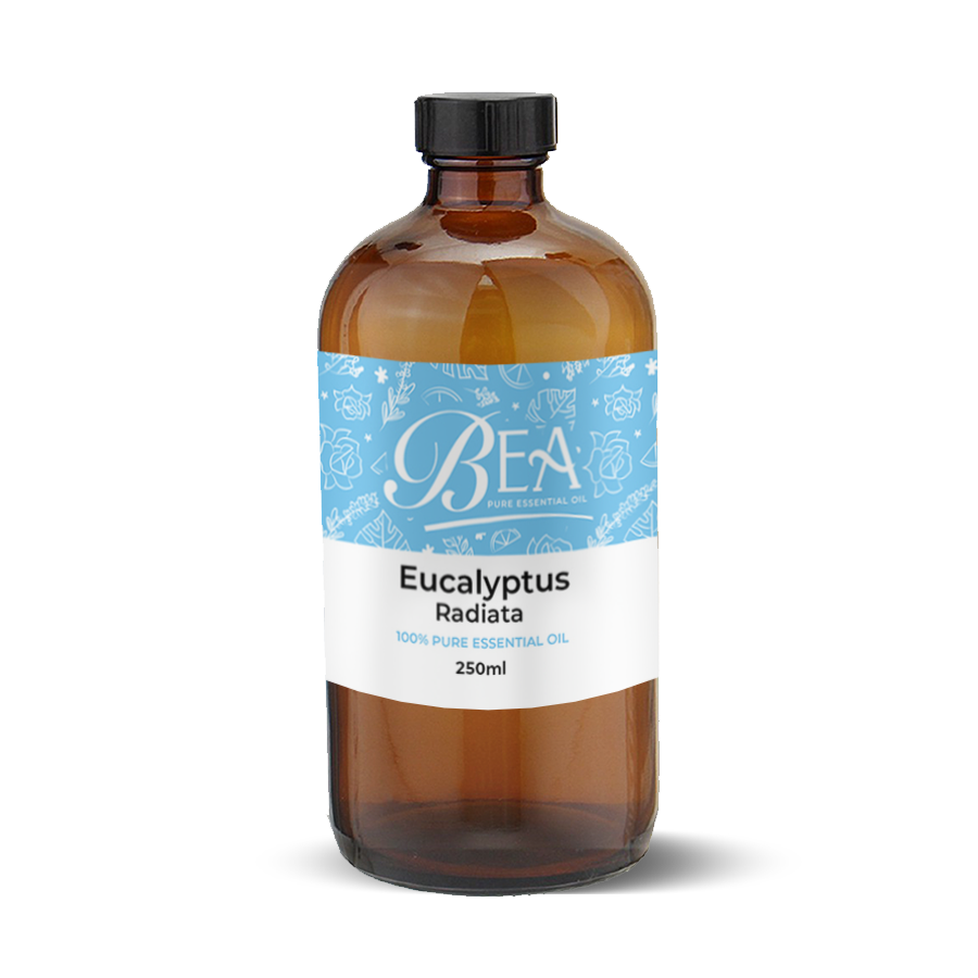 Eucalyptus Radiata Pure Essential Oil 250ml-Gracefield Farmacy