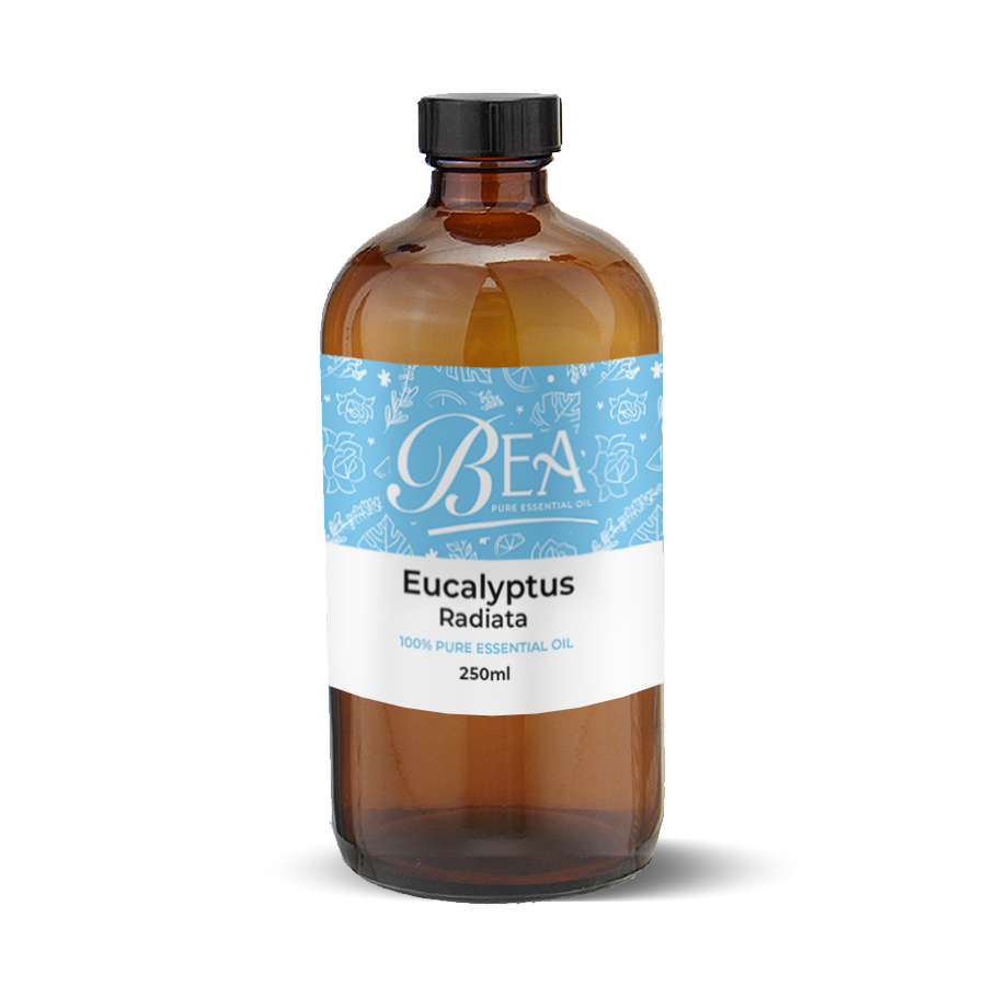 Eucalyptus Radiata Pure Essential Oil 250ml