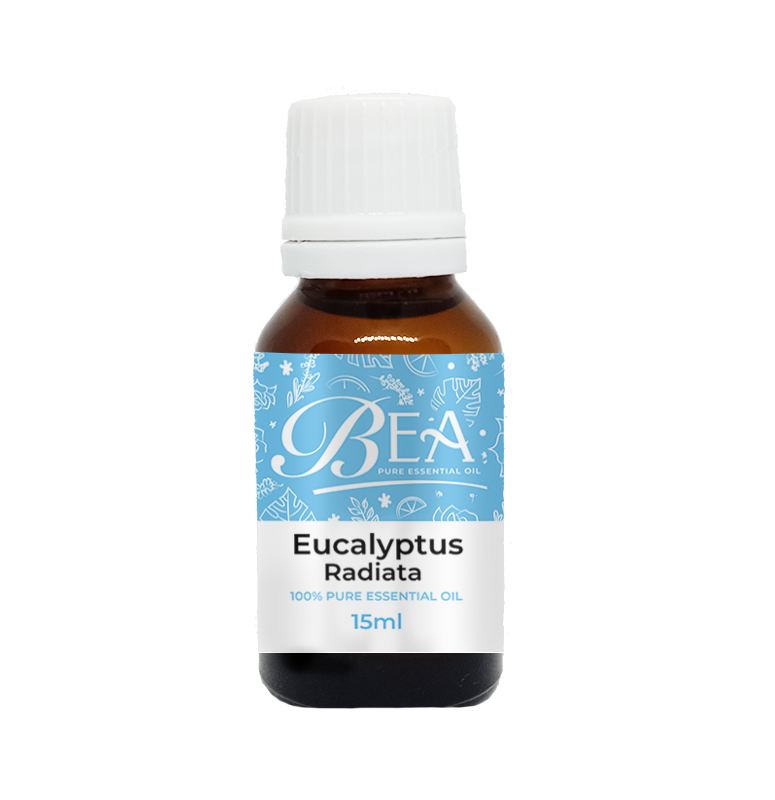 Eucalyptus Radiata Pure Essential Oil 15ml-Gracefield Farmacy