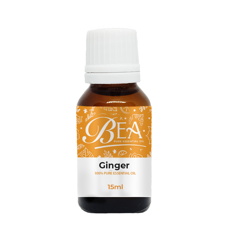 Ginger Pure Essential Oil 15ml-Gracefield Farmacy