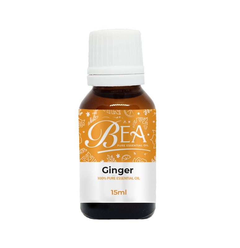 Ginger Pure Essential Oil 15ml